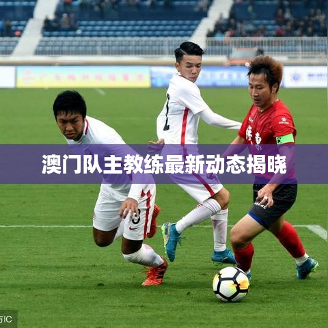 贵人善忘 第2页