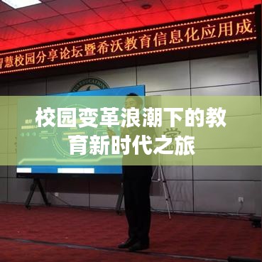 金石为开 第2页
