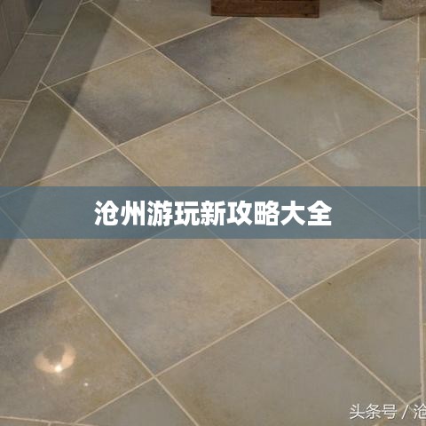 沧州游玩新攻略大全