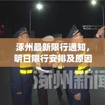 虫蚀鸟步 第2页