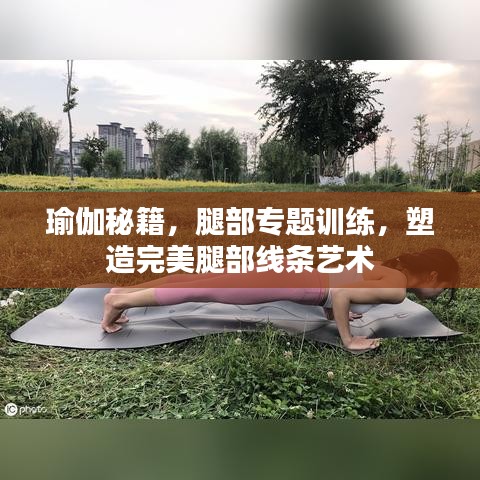 瑜伽秘籍，腿部专题训练，塑造完美腿部线条艺术