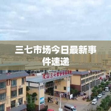 三七市场今日最新事件速递