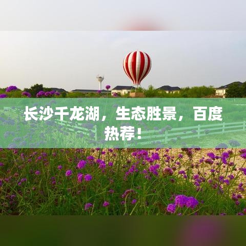 张灯结彩 第2页
