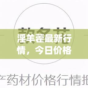 淫羊藿最新行情，今日价格及市场走势分析