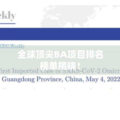 全球顶尖BA项目排名榜单揭晓！