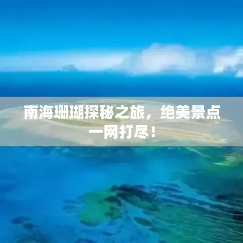 南海珊瑚探秘之旅，绝美景点一网打尽！