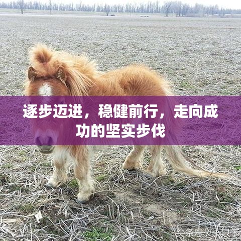 逐步迈进，稳健前行，走向成功的坚实步伐