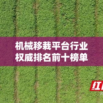 手不释卷 第2页