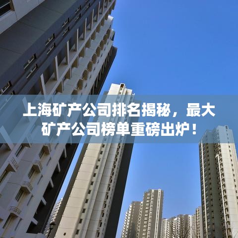 上海矿产公司排名揭秘，最大矿产公司榜单重磅出炉！