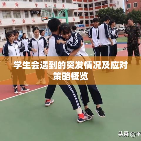 学生会遇到的突发情况及应对策略概览