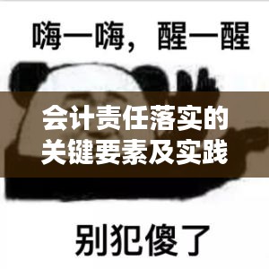 会计责任落实的关键要素及实践策略解析