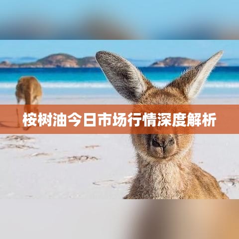 桉树油今日市场行情深度解析