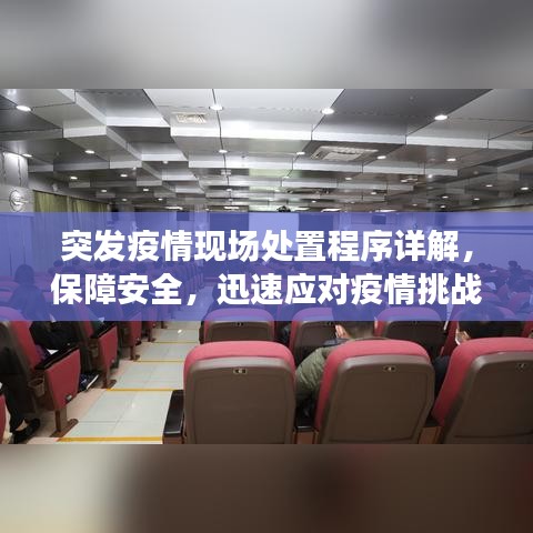 突发疫情现场处置程序详解，保障安全，迅速应对疫情挑战！