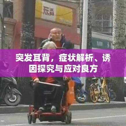 突发耳背，症状解析、诱因探究与应对良方