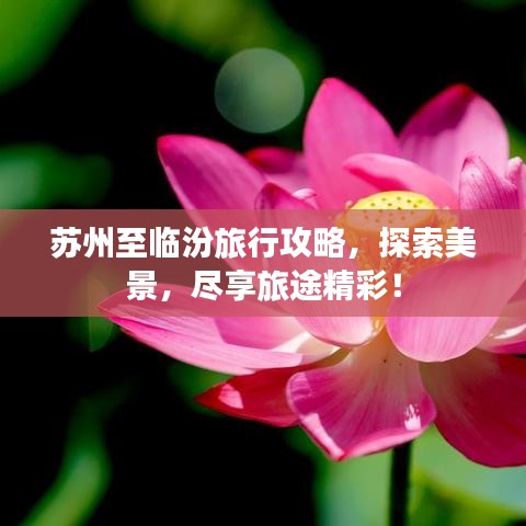 苏州至临汾旅行攻略，探索美景，尽享旅途精彩！