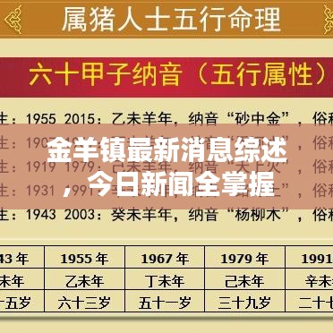 金羊镇最新消息综述，今日新闻全掌握