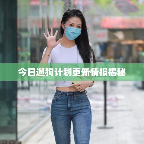 今日遛狗计划更新情报揭秘