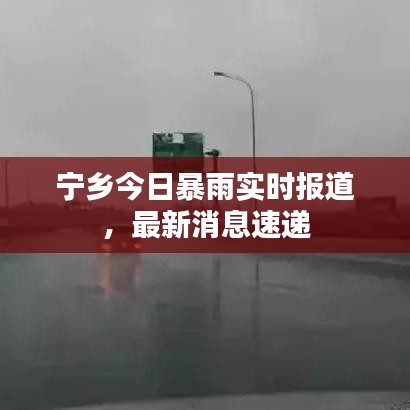 鸟集鳞萃 第2页
