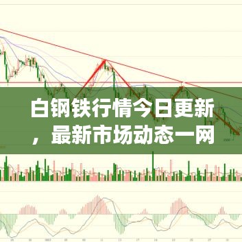 白钢铁行情今日更新，最新市场动态一网打尽！