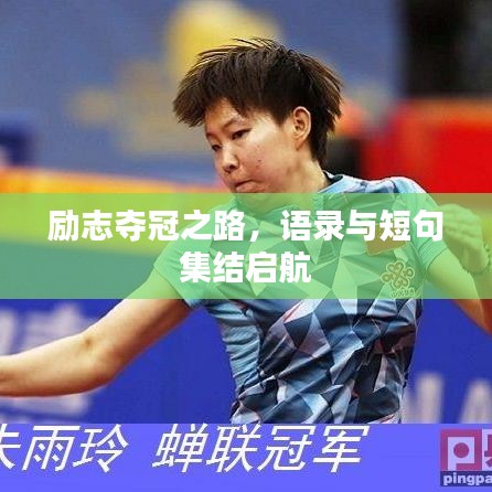 励志夺冠之路，语录与短句集结启航