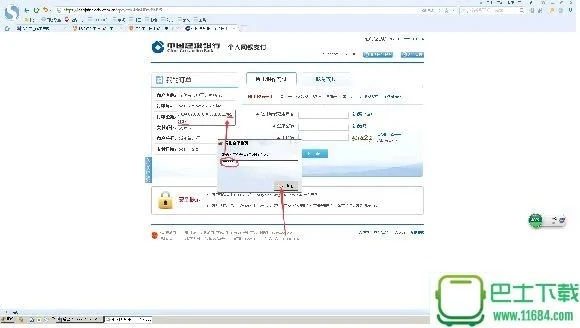 网银官方下载,实地数据验证实施_移动版1_v10.728