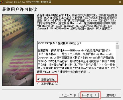 VB官方下载指南及软件简介，新手友好，轻松上手