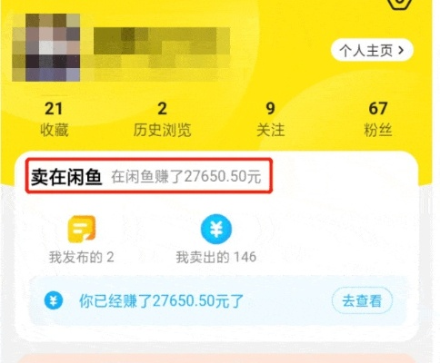 闲鱼电脑版本及老来网下载官方,综合计划评估说明-4DM_v7.683