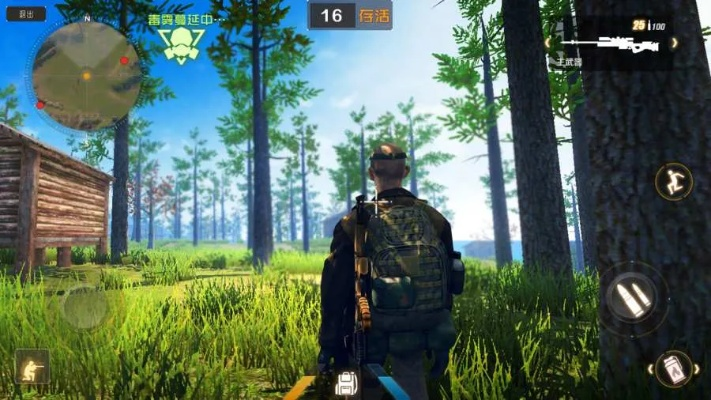 日系手游或从林法则大逃杀激活码,迅速解答问题_尊贵款_v4.627