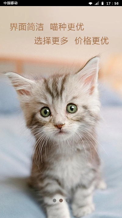 猫咪最新版本与网易官方下载楚,时代解析说明|vShop_v8.643